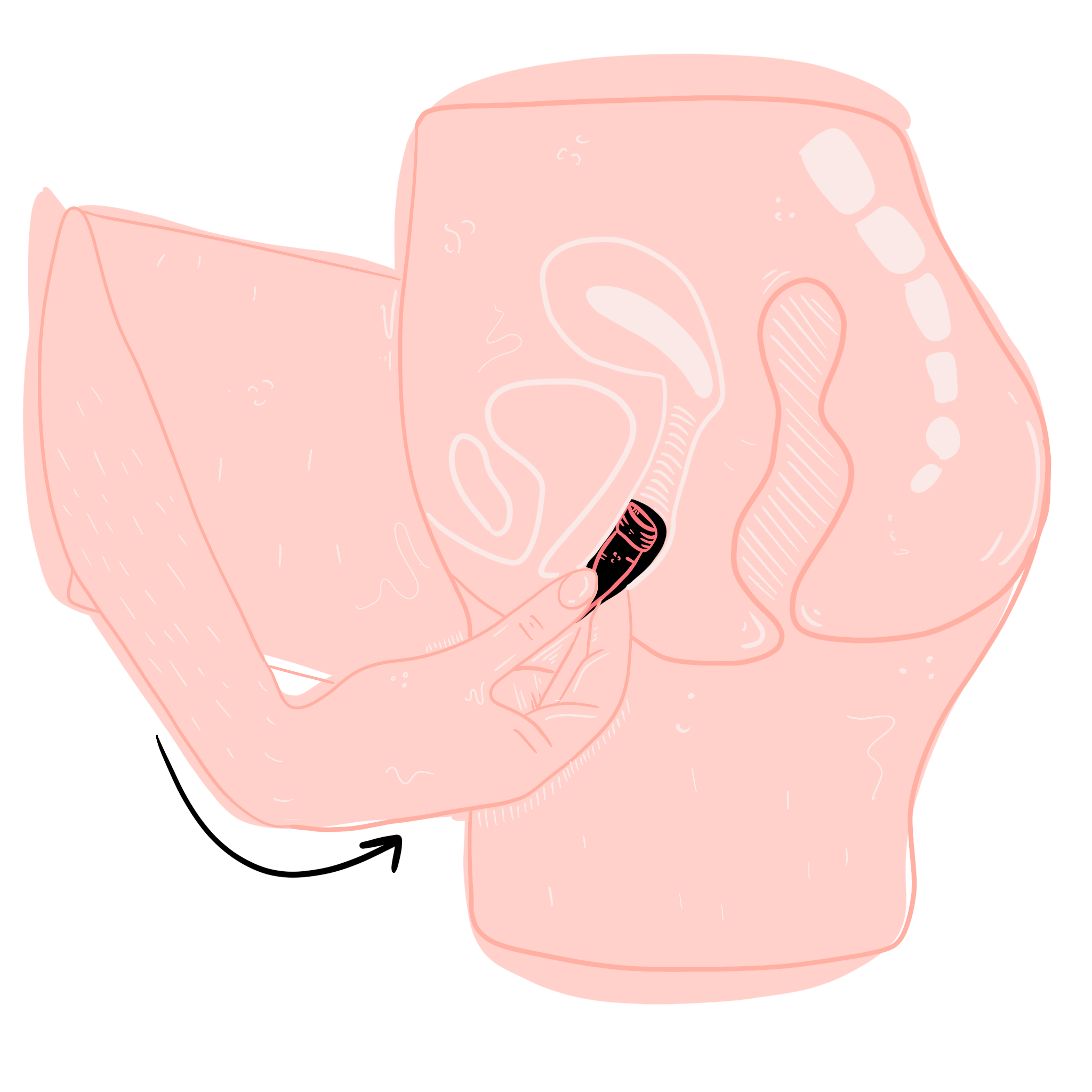 cup diagram